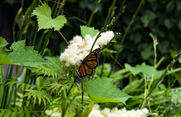 How to be restful and productive in winter to better prepare for spring